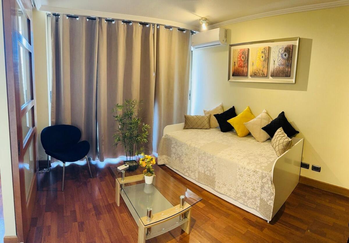 Comodo Y Acogedor, Providencia 14 Appartamento Santiago del Cile