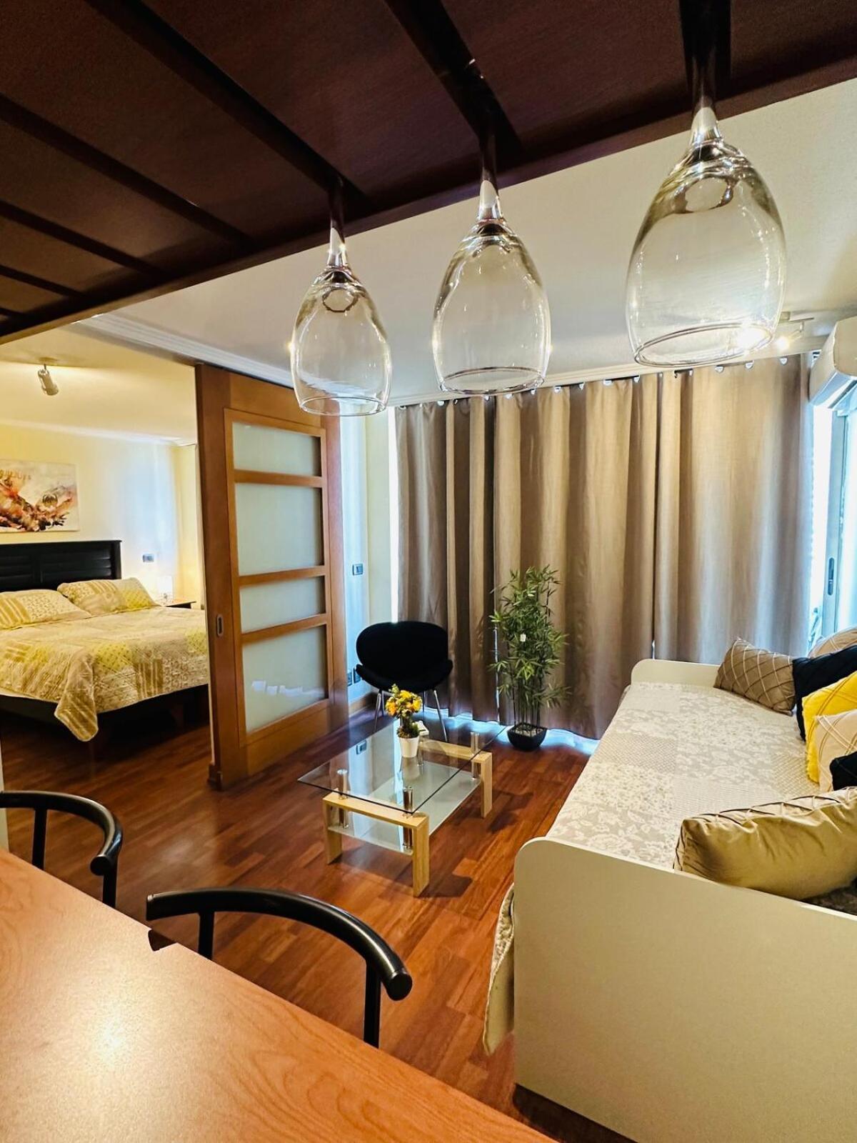 Appartamento Comodo Y Acogedor, Providencia 14 Santiago del Cile